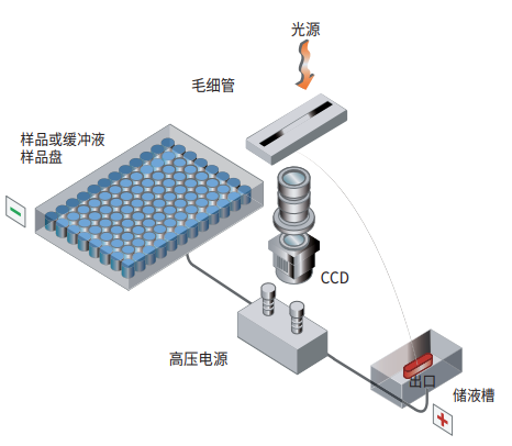 片段分析仪系统