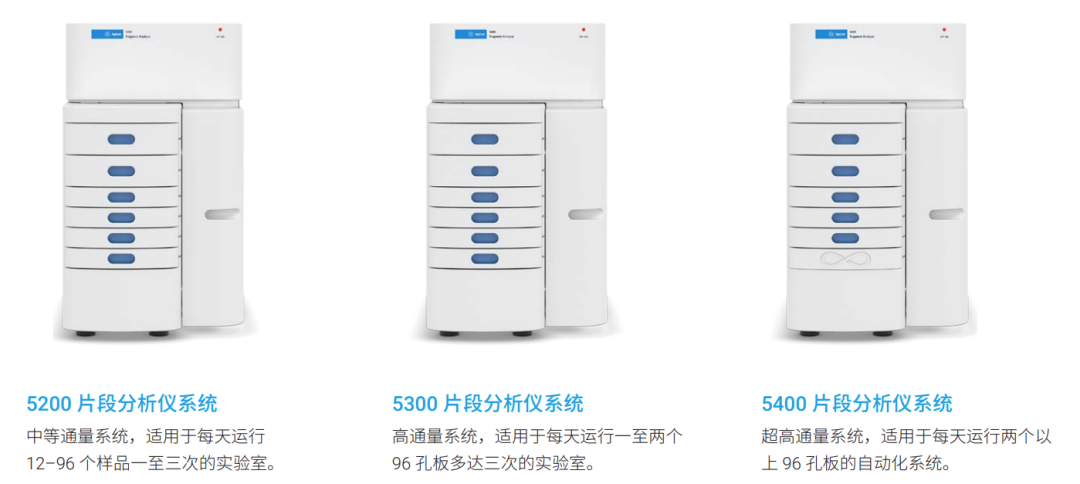 片段分析仪系统