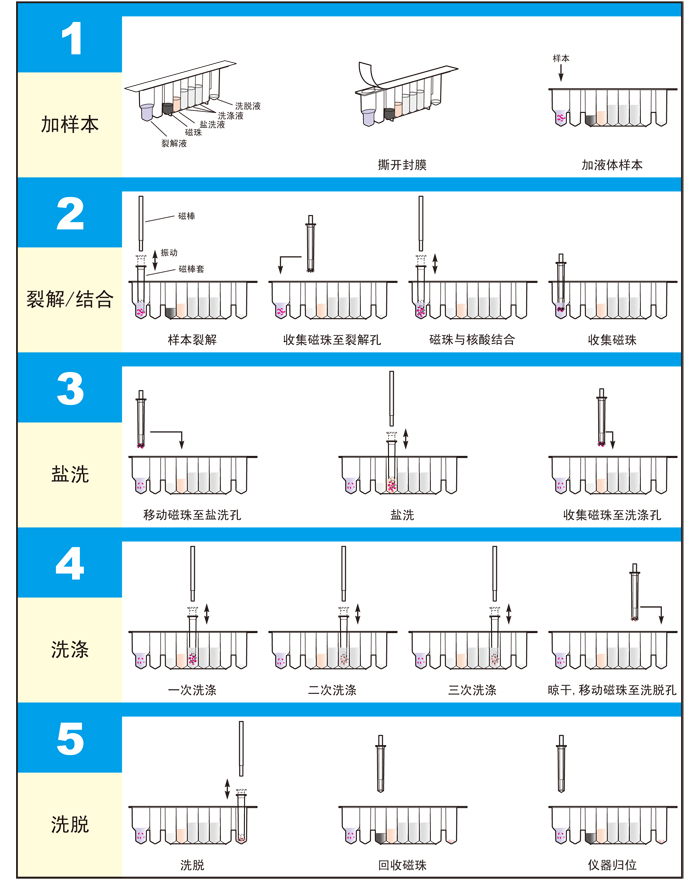 Auto-Pure 20B全自动核酸提取仪